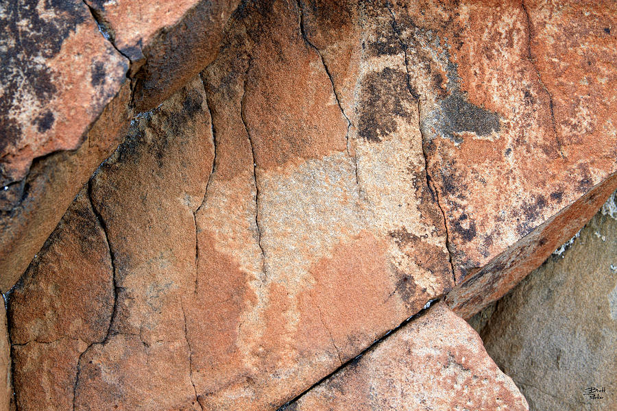 Goat Petroglyph BP1_5211 Photograph by Brett Pelletier