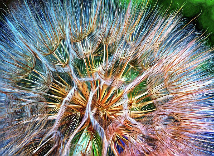 Goats Beard - The Inner Weed 3 - Paint Photograph