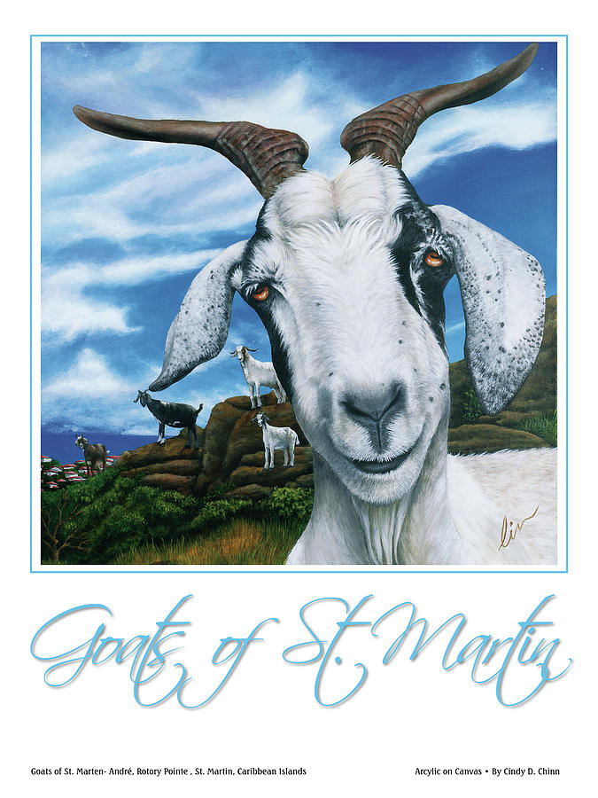 Goat Painting - Goats Of St. Maarten- Andre by Cindy D Chinn