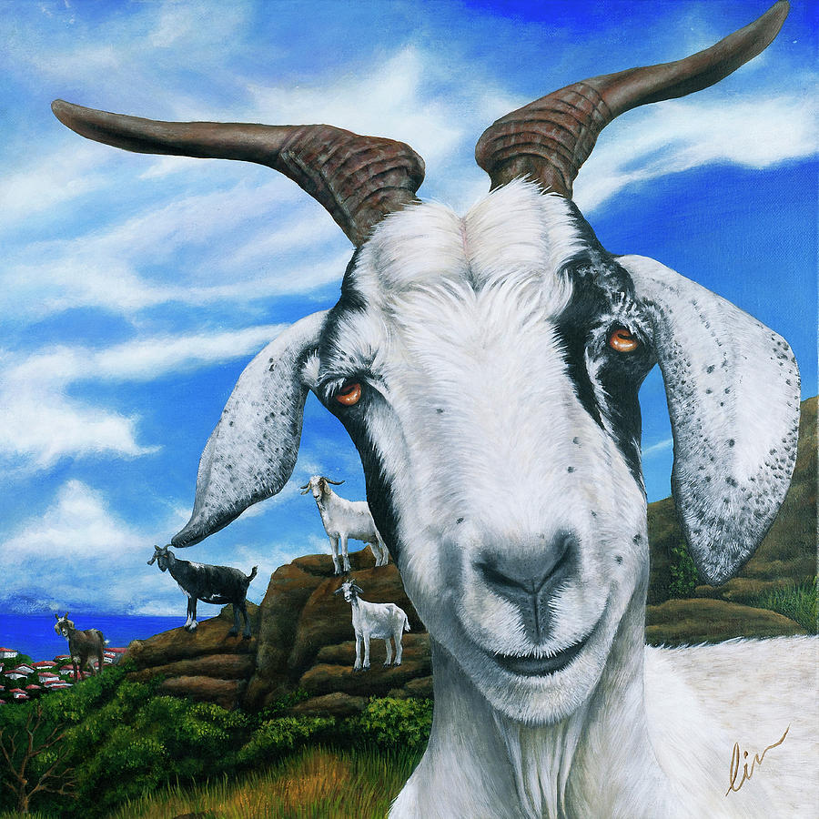 Black And White Painting - Goats Of St. Martin by Cindy D Chinn