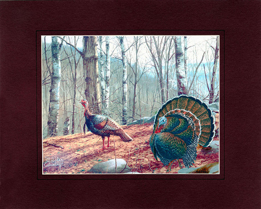 Gobbler Country Painting by Herb Strobino