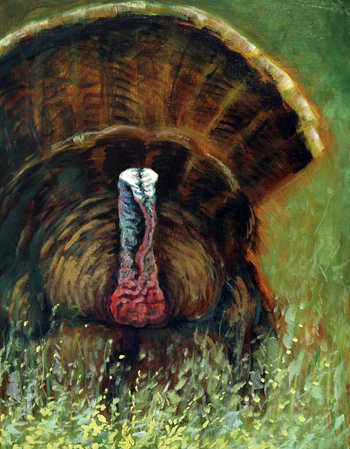 Gobbler in the Grass Painting by Suzanne McKee