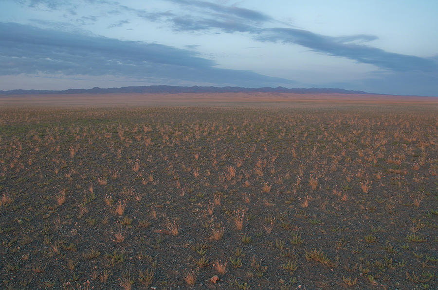 Gobi Desert Photograph by Alan Toepfer
