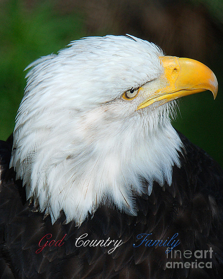 God Country Family Photograph by Diane E Berry