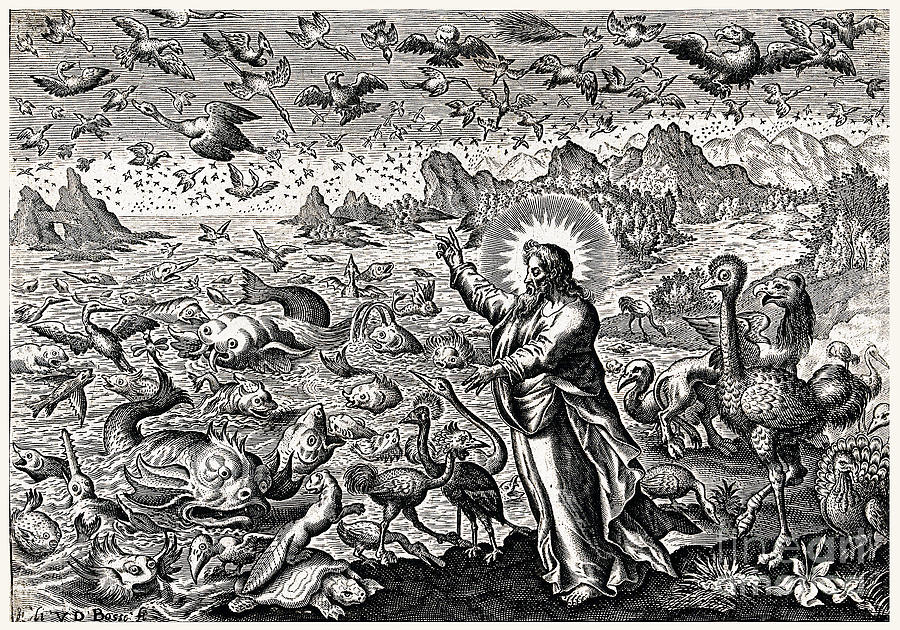 God Creating Birds And Fish, 17th Photograph by Wellcome Images