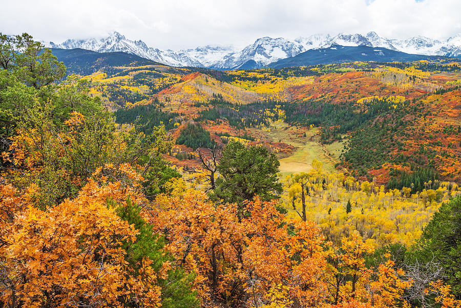 God Did An Exceptionally Superb Job Creating Colorado. Heres The Proof.  Photograph by Bijan Pirnia