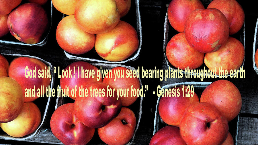 God Gives Fruit For Food Digital Art by Joyce Wasser