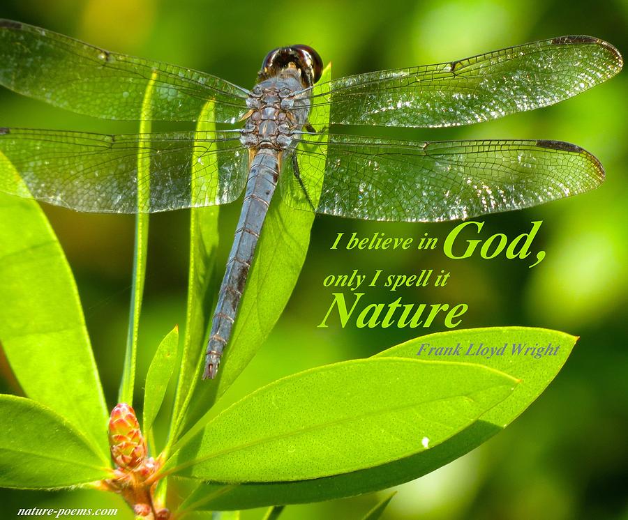 God Is Nature Photograph by David Norman