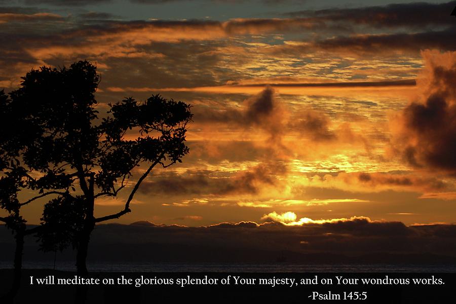 Tree Photograph - God Majestically Paints the Sky with Psalm 145-5 Scripture by Matt Quest