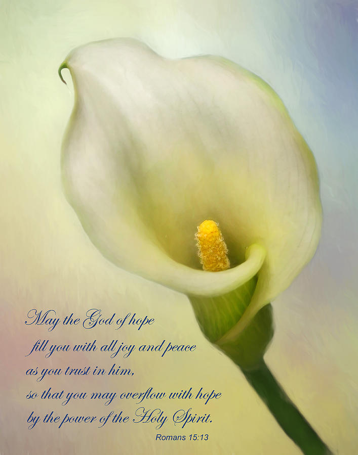 Lily Photograph - God of Hope by David and Carol Kelly