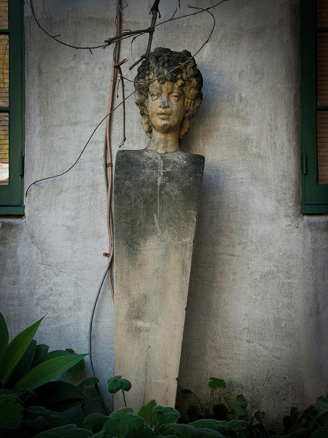 Goddess of the Garden Photograph by Roger Mullenhour