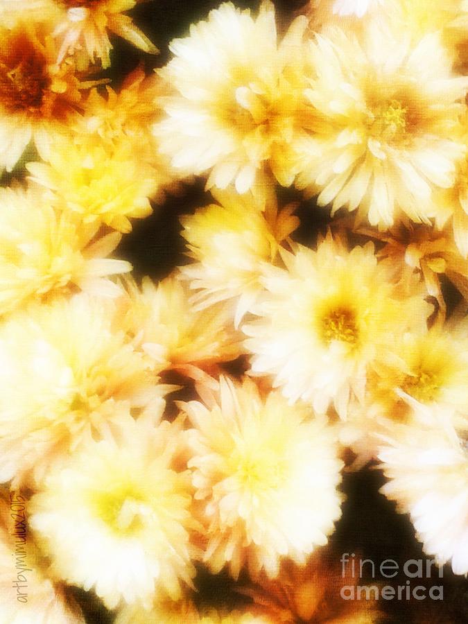 Golden Michaelmas Daisies Photograph by Mimulux Patricia No