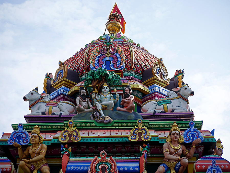 Gods above V - Kapaleeshwarar Temple, Mylapore Photograph by Richard Reeve