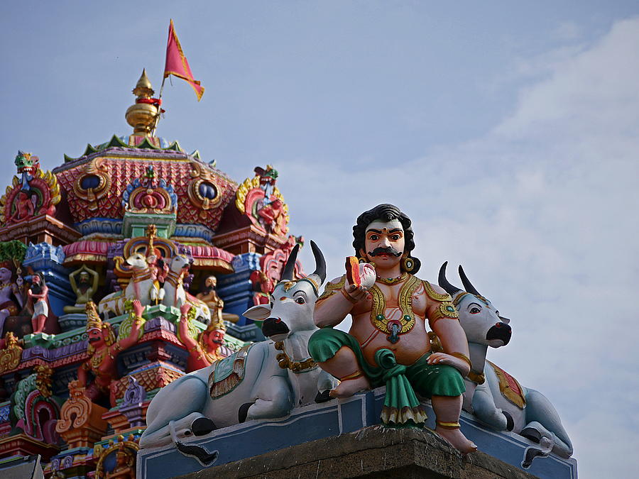 Gods above VI - Kapaleeshwarar Temple, Mylapore Photograph by Richard Reeve