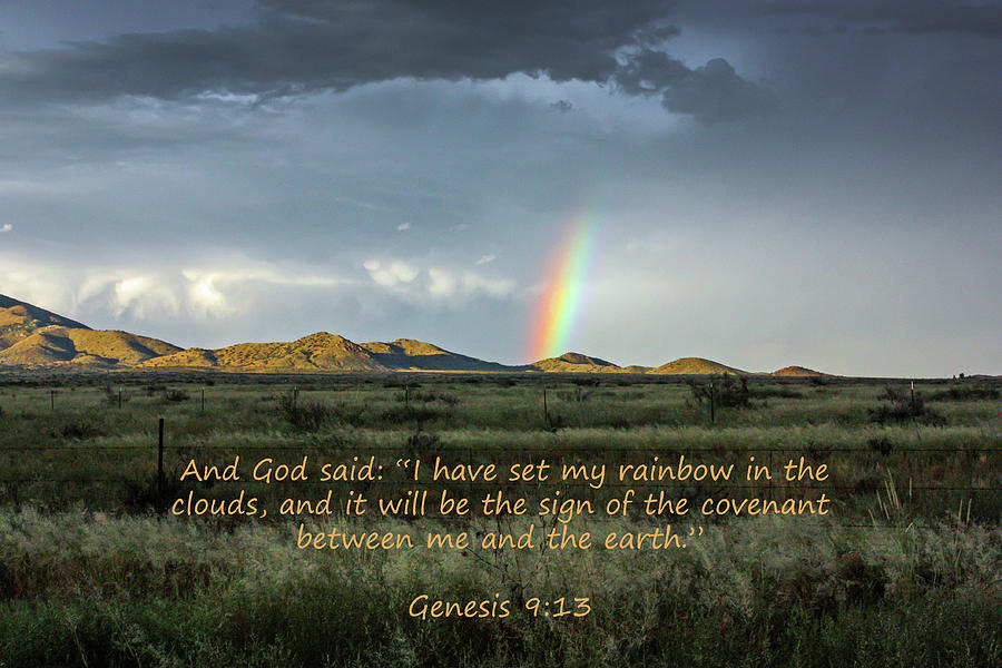 Gods Covenant to the Earth Photograph by Lon Dittrick