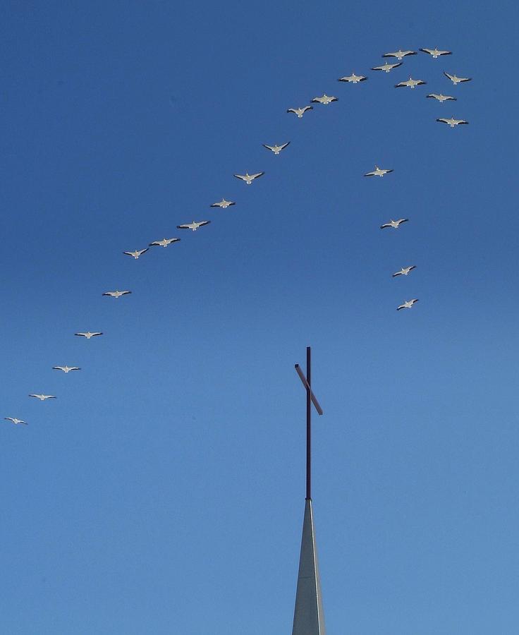 GODS Flock.. Photograph by Al Swasey