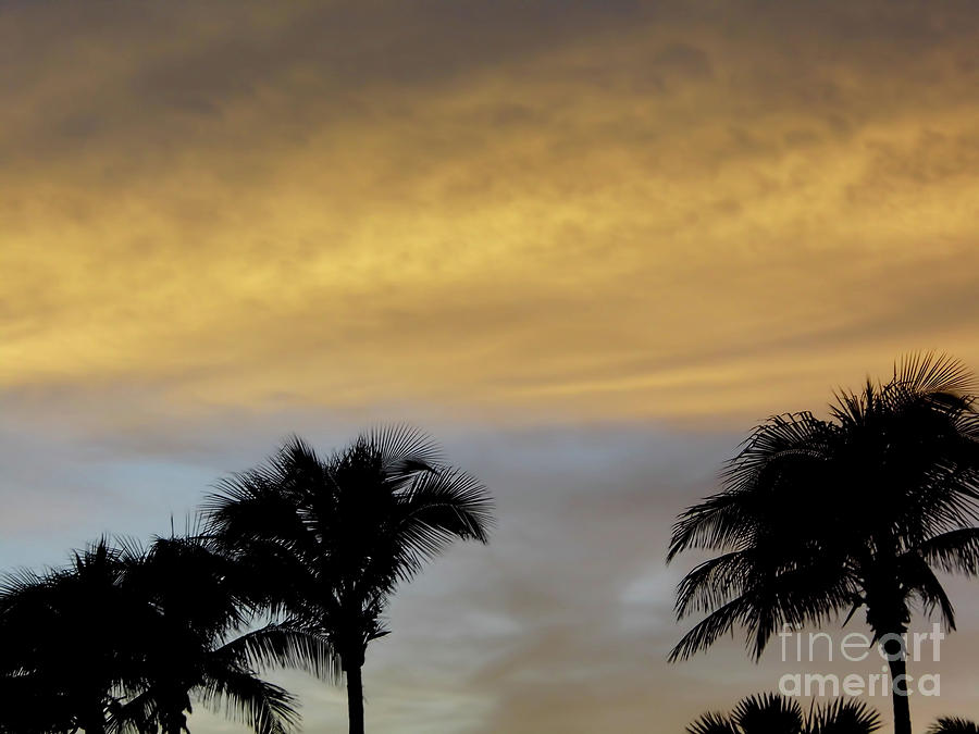 Gods Florida Sunset Photograph by D Hackett