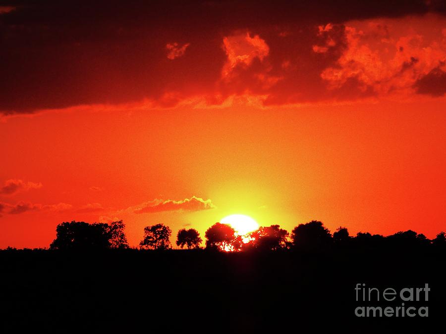 Gods Gracful Sunset Photograph by J L Zarek