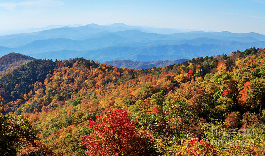 God's Palette Photograph by Janet Barnes - Fine Art America