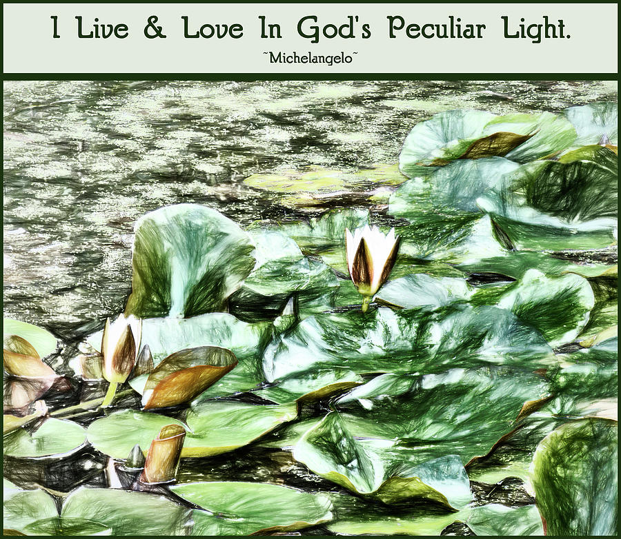 Gods Peculiar Light Photograph by Leslie Montgomery