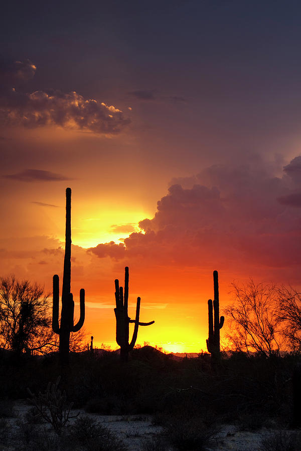 God's Sunset Light Photograph by Cathy Franklin