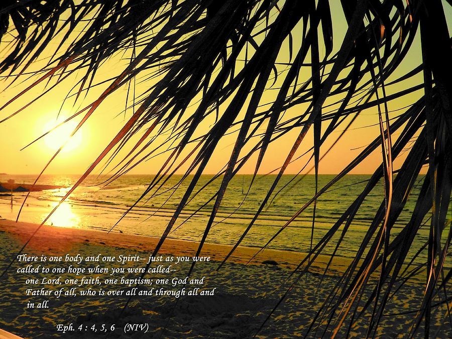 Gods Word with Sunrise Breeze Photograph by Sheri McLeroy - Pixels