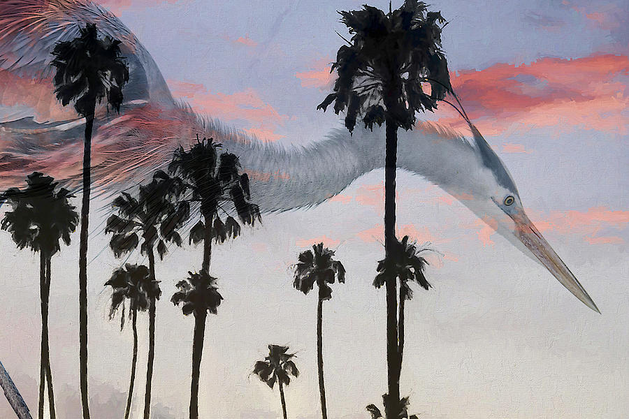 Godzilla of the Sky Photograph by Beverly Hanson
