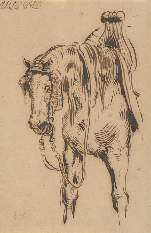 Goetz van Berlichingens Horse Drawing by Eugene Delacroix