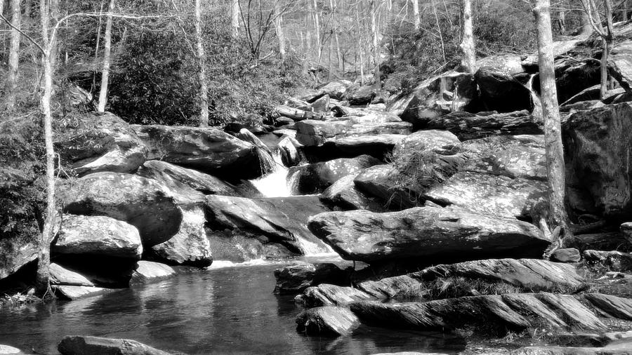 Goforth Creek TN Black and White Photograph by Judy Wanamaker