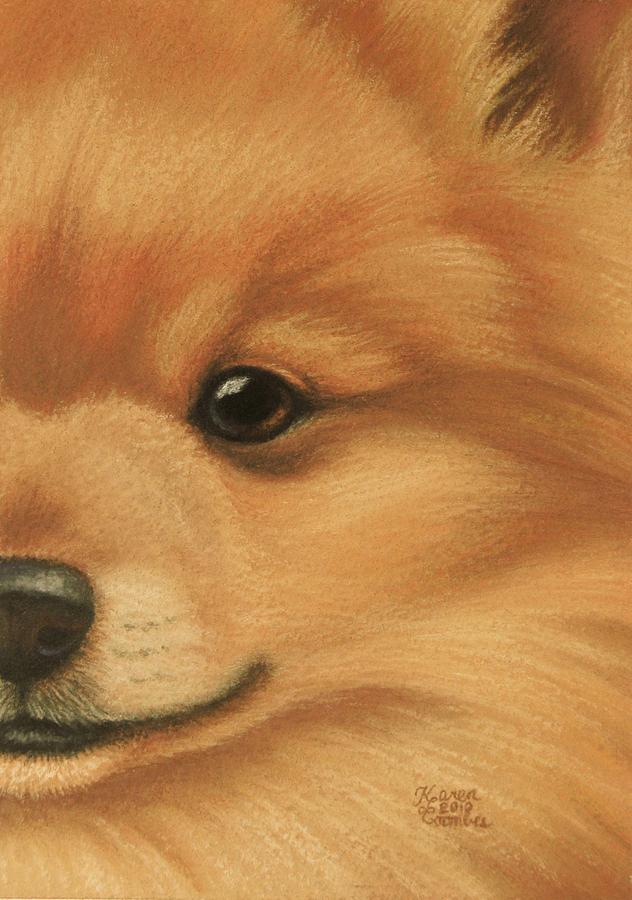 Dog Pastel - Goggie Pomeranian by Karen Coombes