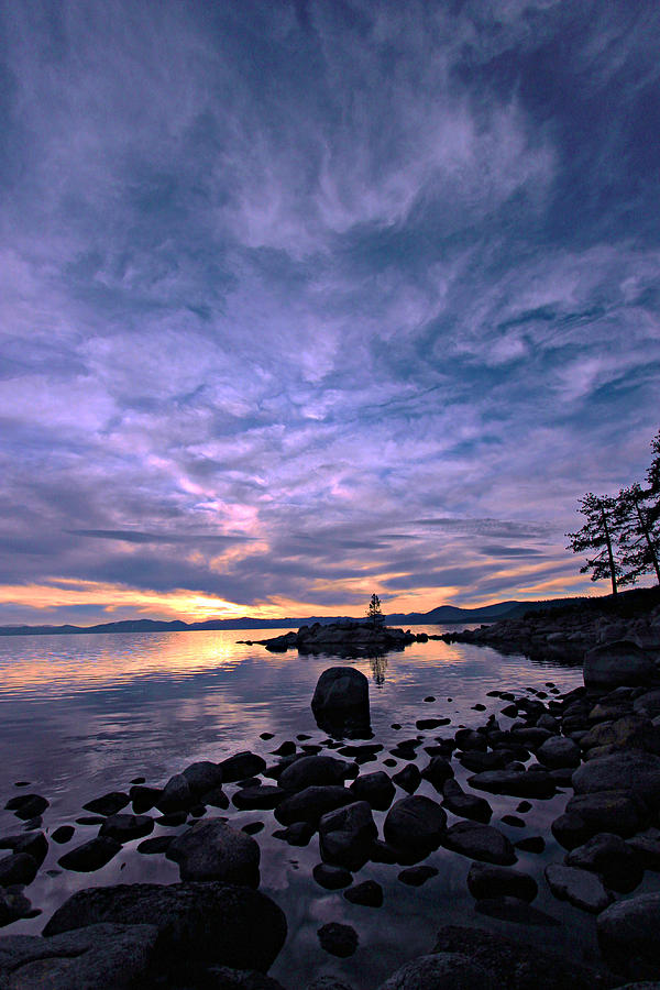 Gogh To Tahoe  Photograph by Sean Sarsfield