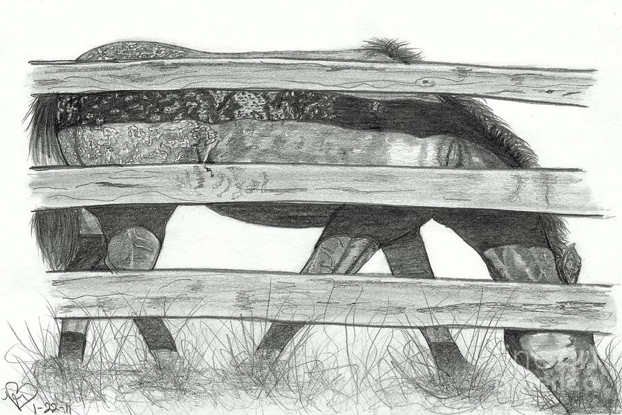 Goin' for the Greener Grass by Becky Eileen Eller Goin' for the Greener Grass by Becky Eileen Eller
