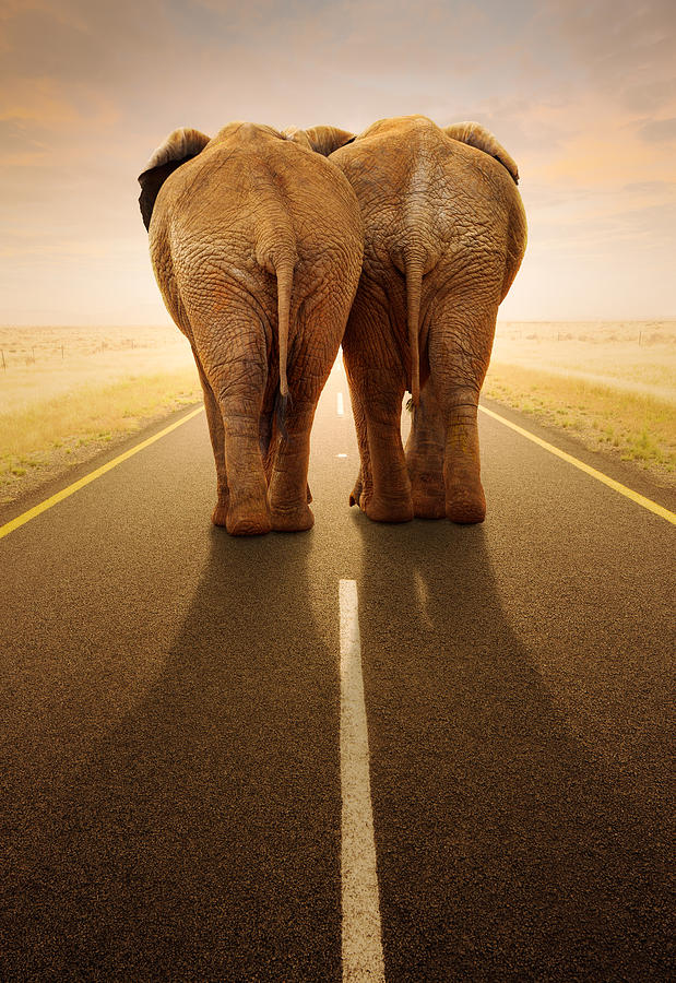 Transportation Photograph - Going away together / travelling by road by Johan Swanepoel