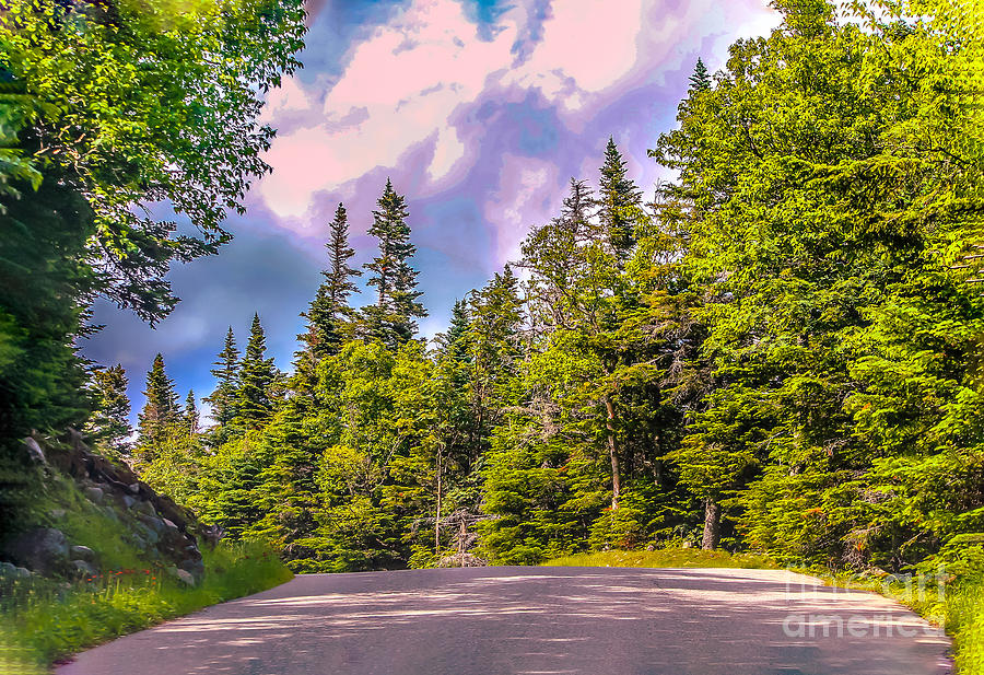 Going down the mountain road Photograph by Claudia M Photography