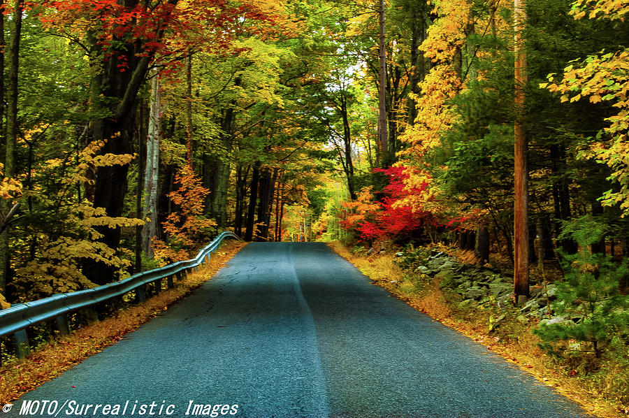 Going Down The Road Photograph by Nicholas Costanzo - Fine Art America