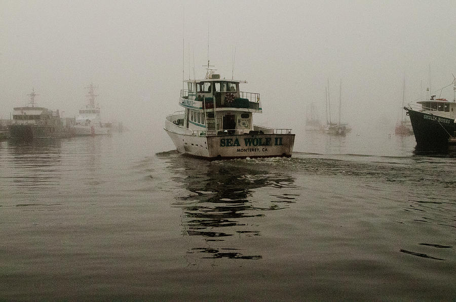 Going Fishing on a Foggy Morning Photograph by Connie Cooper-Edwards