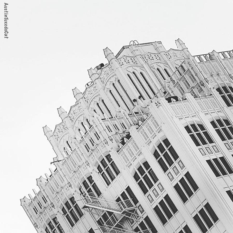 Architecture Photograph - Going #historic And #monochromatic With by Austin Tuxedo Cat