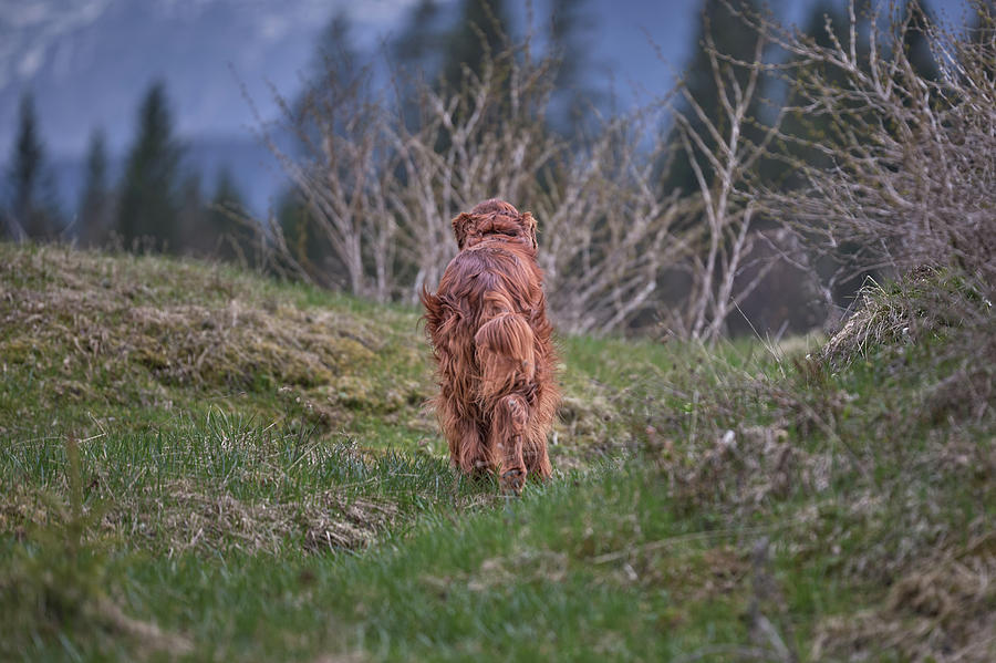 Going home by Robert Krajnc Going home by Robert Krajnc