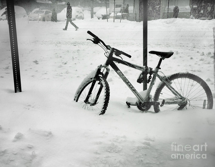 Going Nowhere Fast - Winter in New York Photograph by Miriam Danar