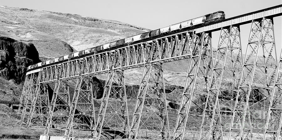 Going over the Trestle Photograph by Merle Grenz