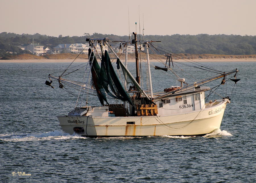 Going Shrimping Photograph by Dan Williams