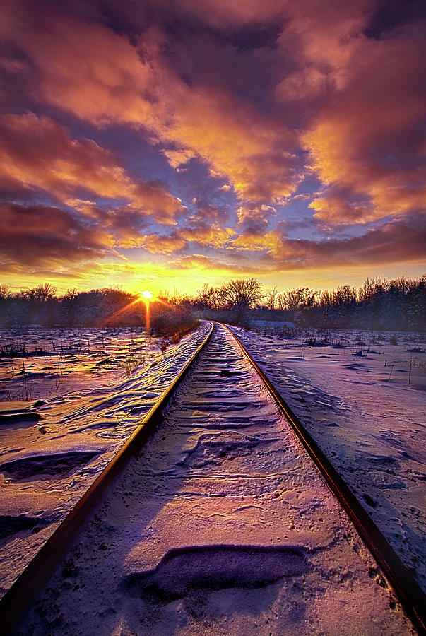 Going Somewhere Photograph by Phil Koch