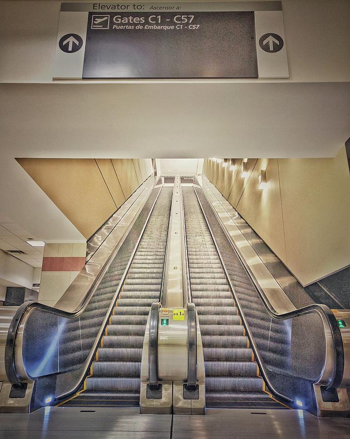 Going up Photograph by Mike Dunn