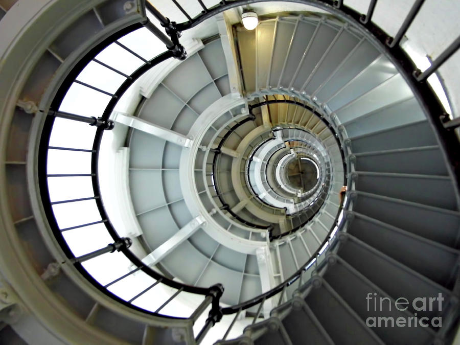 Going Up The Spiral Staircase Photograph by D Hackett