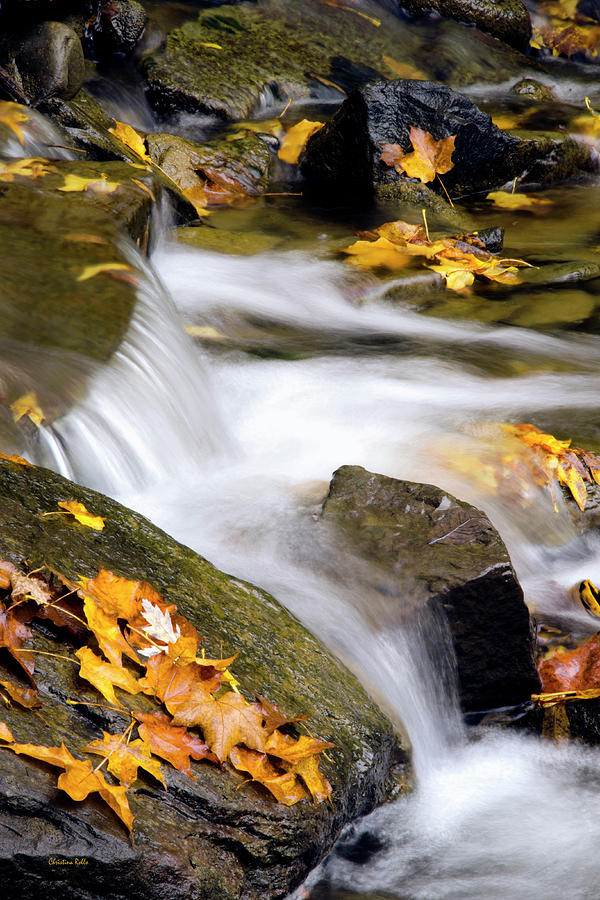 Peaceful Autumn Creek Photograph by Christina Rollo