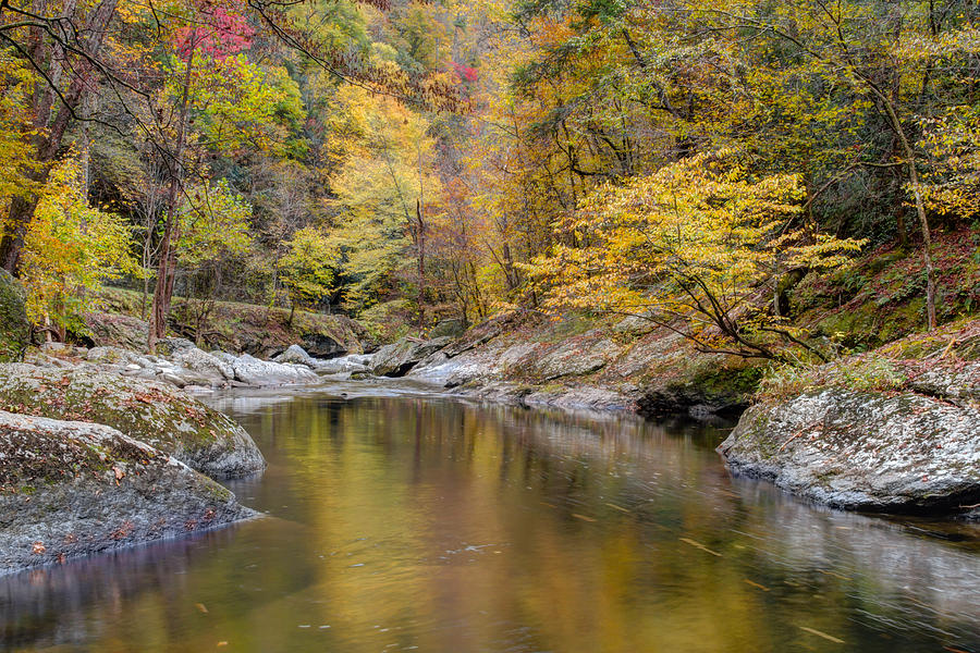 Autumn Photograph - Going with the Flow by Kristina Plaas Autumn Photograph - Going with the Flow by Kristina Plaas