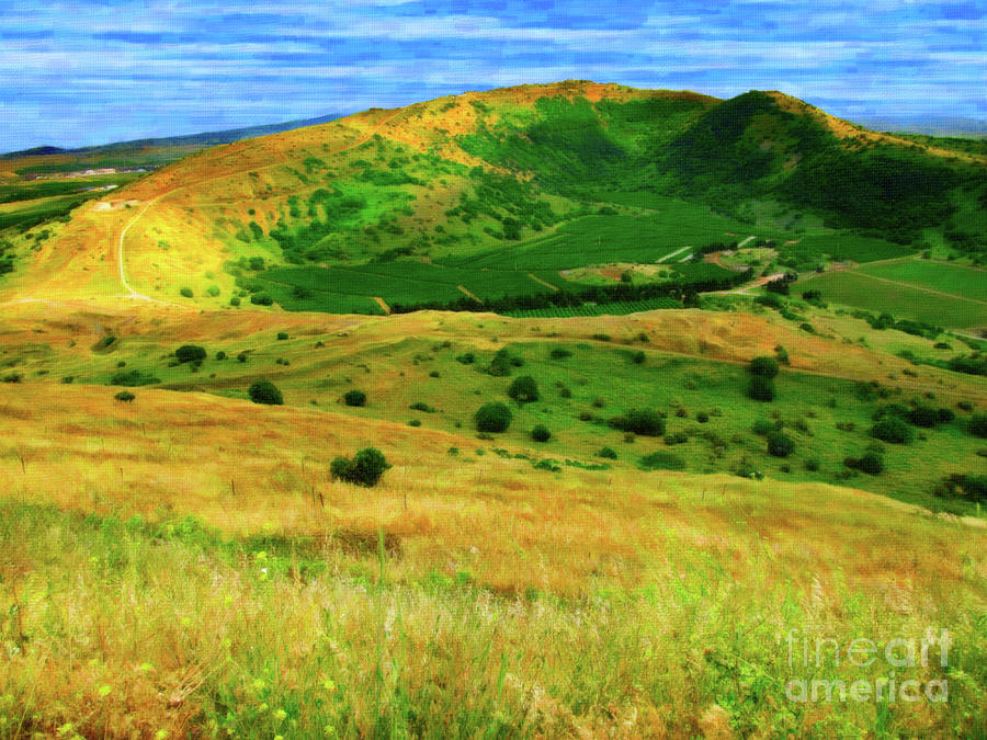 Golan Heights Paint Digital Art by Donna L Munro