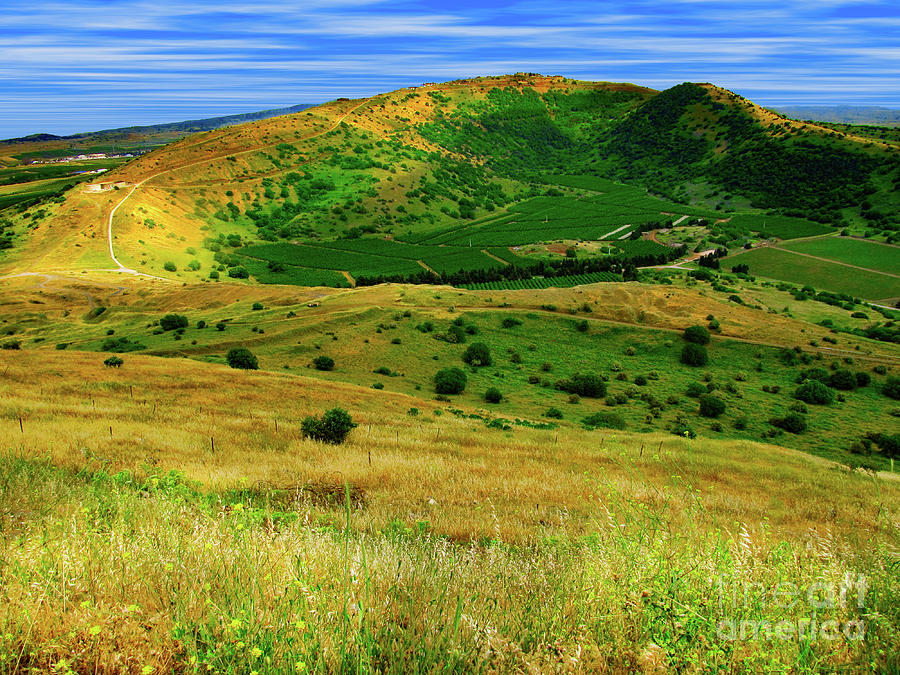 Golan Heights Photo Photograph by Donna L Munro