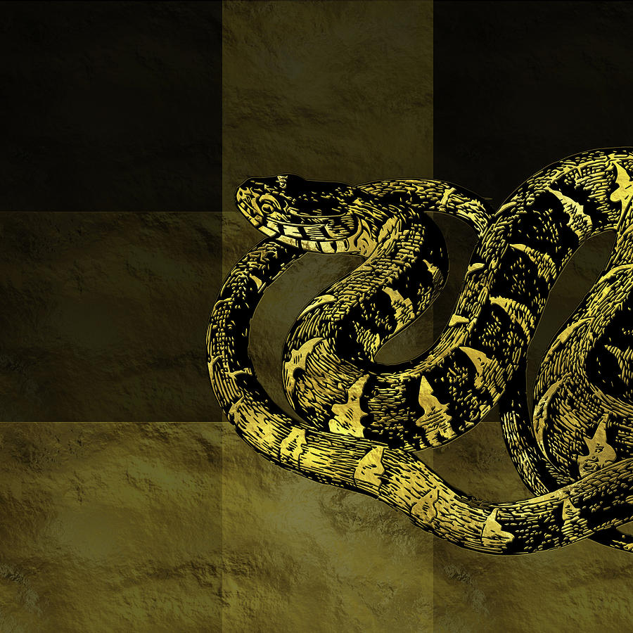 Gold and Black Snake Digital art Digital Art by Creativemotions