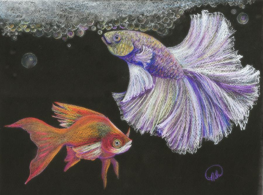 Fish Drawing - Gold and Glamar by Nila Taylor